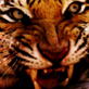 Animal Planet Promos: Wild 100: Living With Tigers