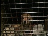 Animal Cops Houston: Oodles of Puppies