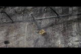 G Word: Rock Fall Fence