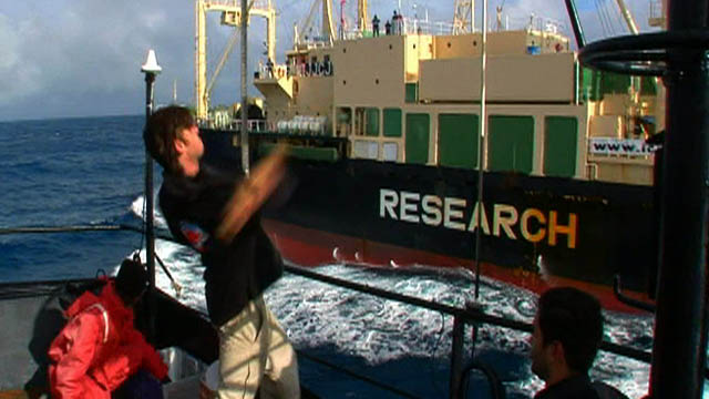 Whale Wars: Attack Gone Wrong