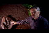 Dinosaurs: Muddy Footprints