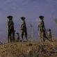 Meerkat Manor: The Whiskers Vs. The Commandos