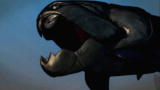 Animal Armageddon: Dunkleosteus