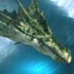 Dragons: How Dragons Survive the Cold