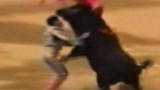 Untamed and Uncut: Bull Mauls a Matador