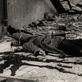 Hunting Nazis: War Crimes