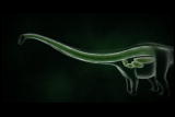Mammals Vs. Dinos: Dinosaur Air Sacs