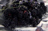 Emeril Green: Grilled Blackberries with Lavender