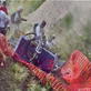 Destroyed in Seconds: Couch Racer Crash