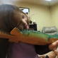Jon & Kate Plus 8: Alexis's Aldergator