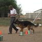 Bissell Pet Games Week 7: Nicoh at Rally Class