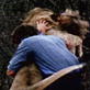 Untamed and Uncut: A Lion Is Released