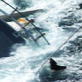 Untamed and Uncut: Dog Lost at Sea