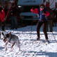 Human: The Skinny On Skijoring