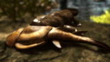 Animal Armageddon: Ichthyostega