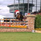 World Sporthorse Championships: Makings of an Olympic Horse