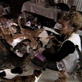 Weird True & Freaky: Cat Lady