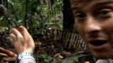 Man vs. Wild: Natural Navigation