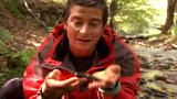 Man vs. Wild: Chewy Sushi