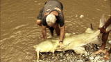 Animal Planet Screening Room: River Monsters