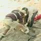 Dino Dig Updates: Dinosaur Soft Tissue Discovery