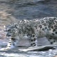Planet Earth: Mountains: On the Edge