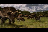 Dinosaurs: Triceratops: An Evolving Story