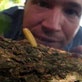 Corwin's Quest: Jeff's Little Lumberjacks