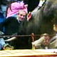 Untamed and Uncut : Bull Jumps Into Crowd