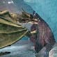 Dragons: The Science of Dragons