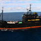 Whale Wars: Meet the Sea Shepherd Crew