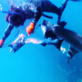 Shark Bites: Magnet Test