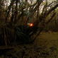 Man vs. Wild: Everglades Camp Platform