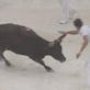 Discovery Atlas: France: Bullfighting