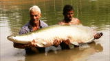 River Monsters: Battling an Arapaima