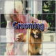 Petfinder: Grooming Tips