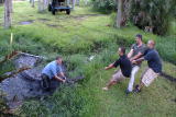 Crocodile Feeding Frenzy: Nuisance Gator Death Roll