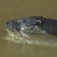 play video on Discovery Channel