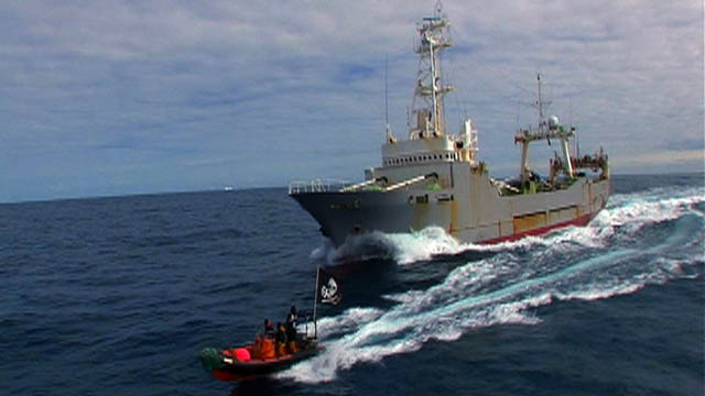Whale Wars: Springing the Trap