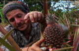play video on Discovery Channel