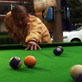 Fight Quest: Pool Kung Fu
