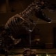 Valley of the T-Rex: Dinosaur Posture