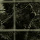 Animal Planet Promos: Living With the Wolfman 50s