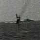 Japanese Aerial Attacks: Plane Shotdown