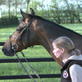 World Sporthorse Championships: Shutterfly Profile