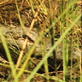play video on Discovery Channel