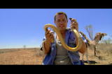 Corwin's Quest: Inland Taipan