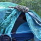 The Grizzly Man Diaries: Timothy's Camping Spot
