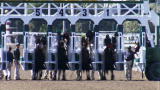 Jockeys: In the Starting Gate