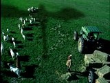 Dragons: Trailer: Dragon Invades Farm